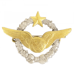 Insigne Brevet Pilote Personnel Navigant Armée de l'Air de Face