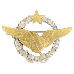 Insigne Brevet Radio-Navigateur Armée de l’Air Française de Face
