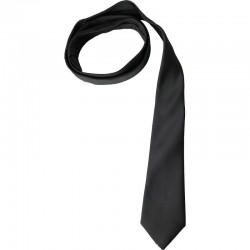 cravate réglementaire de la tenue T21
