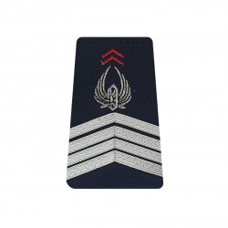 Fourreaux d'épaules Armée de terre Française, grade de Maréchal des logis-chef BM2, Arme du Train